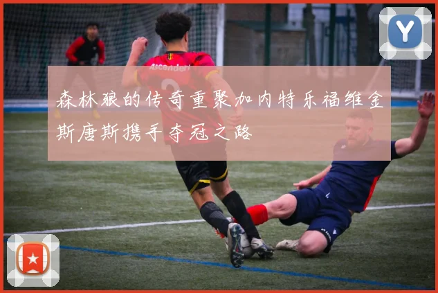 森林狼的传奇重聚加内特乐福维金斯唐斯携手夺冠之路