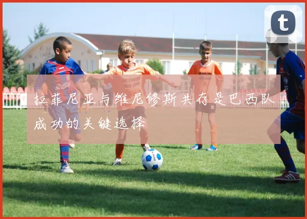 拉菲尼亚与维尼修斯共存是巴西队成功的关键选择